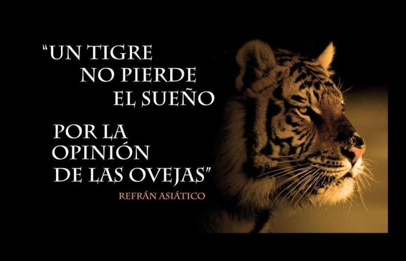 piensa solo en ti y enfocatee